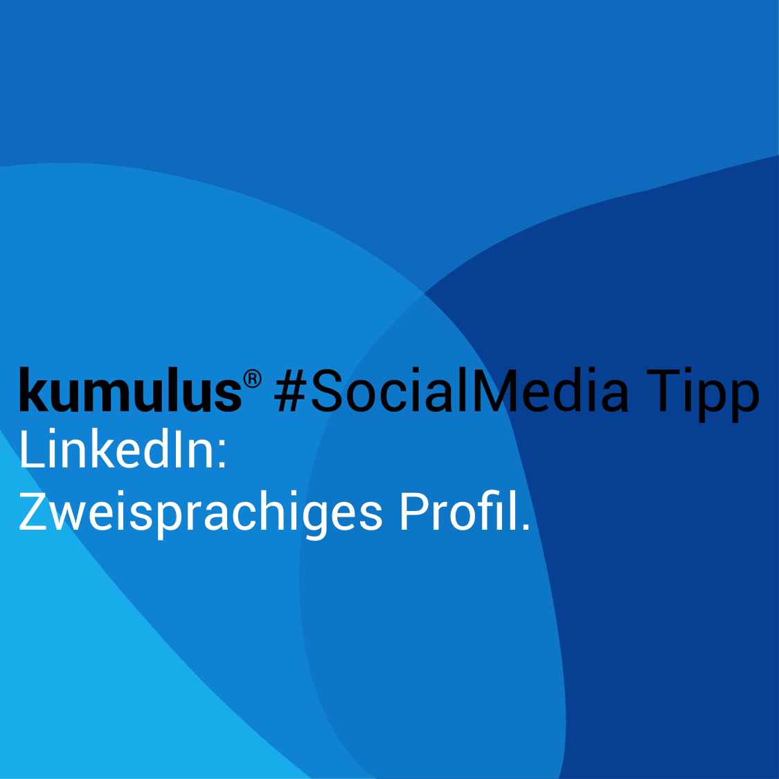 Zweisprachiges Profil bei LinkedIn – kumulus Social Media Tipp