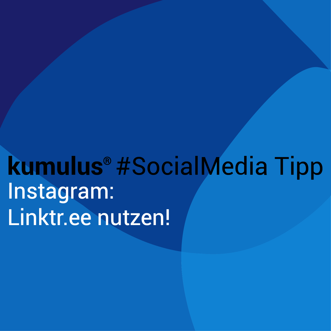 Linktree als Linksammlung bei Instagram nutzen – kumulus Social-Media-Tipp